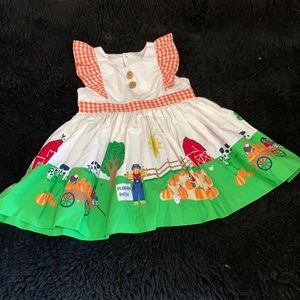 Perfect pumpkin-/Eleanor Rose Pumpkin Patch dress size 3/4 worn 1x
